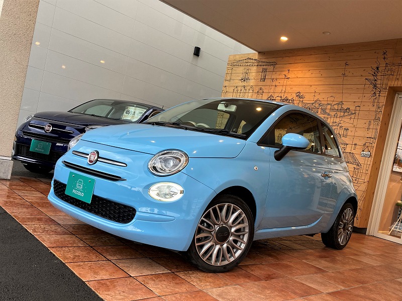 【速達発送】希少❣️大株❣️ベゴニア　メタリックブルー フィアット500の継続販売決定!?】新グレードとともに記念限定車も